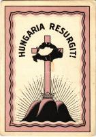 1933 Hungaria Resurgit! kiadja a Magyar Nemzeti Szövetség / Hungarian irredenta art postcard (EK)