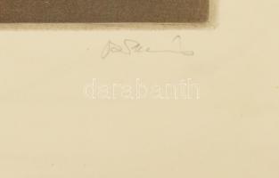 Vagyóczky Károly (1941-): Képek (Budapest). Akvatinta, papír, jelzett, számozott (34/50), üvegezett ...