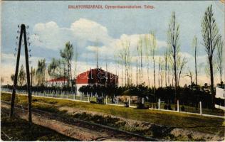 1922 Balatonszabadi, Gyermekszanatórium telepe, vasút (szakadás / tear)