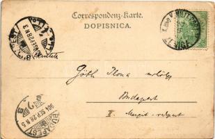 1904 Zenica, Kocevabrücke / bridge, street view, Bosnian folklore. Verlag v. Ludwig Krausz & Bru...