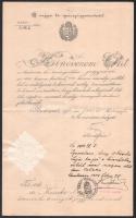 1914 besztercei törvényszéki jegyzői kinevezés Tőry Gusztáv leendő miniszter, kúriai elnök saját kezű aláírásával