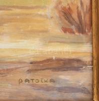 Titkos gyógyszertartó szekrényke festmény keretbe rejtve. Prága. XIX. sz. Rudolf Sváb asztalos munká...