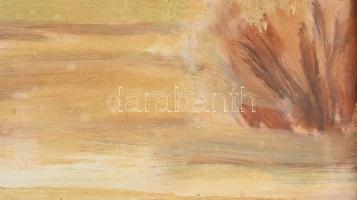 Titkos gyógyszertartó szekrényke festmény keretbe rejtve. Prága. XIX. sz. Rudolf Sváb asztalos munká...