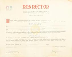 1979 Doktori oklevél a Pécsi Egyetemen kiállítva + képek az átadásról
