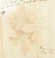 1804 Görgei / Görgey Márton (1740-1807) . pécsi püspök, esztergomi kanonok aláírása hivatalos okirat...