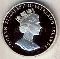 Falkland-szigetek 1993. 50p Ag "II. Erzsébet koronázási évfordulója" T:PP