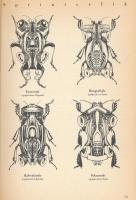 Táncos Laci bácsi: Bogaraim. 124 db bogár hiteles rajza, rövid ismertetéssel. Családonként rendszere...