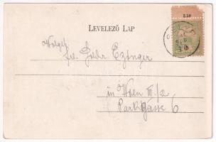 1904 Selyp (Lőrinci), Cukorgyár parkja (EK)