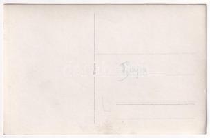 Baja, Dunai úszó hajómalom / floatingm ship mill. photo