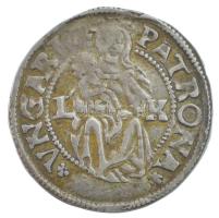 1527L-K Denár Ag "II. Lajos" (0,53g) T:XF
Hungary 1527L-K Denar Ag "Louis II" (...