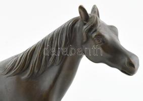 Ismeretlen szobrász: Ló talapzaton, bronz, jelzés nélkül, hibátlan, h: 38 cm, m: 27 cm KIZÁRÓLAG SZE...