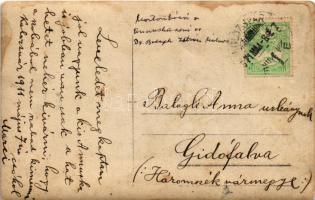 1911 Kolozsvár, Cluj; családi csoportkép / family group photo (fl)