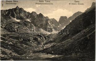 Tátra, Magas-Tátra, Vysoké Tatry; Omladékvölgy. Franz Pietschmann No. 2631. / Mengsdorfertrümmertal / W Dolinie Zlomisk / valley