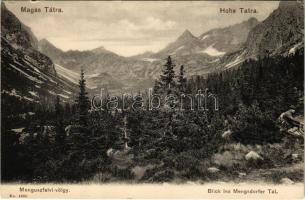Tátra, Magas-Tátra, Vysoké Tatry; Menguszfalvi-völgy. Franz Pietschmann No. 1860. / Blick ins Mengsdorfer Tal / valley (EK)