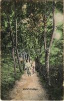 1921 Balatonvilágos, erdős park. Szénásy Béla kiadása (EB)