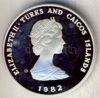 Turks- és Caicos-szigetek 1982. 10C Ag "Nemzetközi Gyermekév" T:PP
