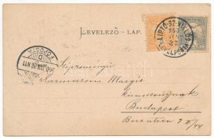 1900 Zólyom, Zvolen; Pusztavár főkapu regényes várrom a római korból. Pick testvérek / Pusty hrad / ...