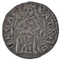 1498-1503. Denár Ag "II. Ulászló" (0,66g) T:XF,VF
Hungary 1498-1503. Denar Ag "Wladi...