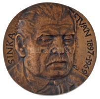 Rajki László (1939-) DN "Sinka István 1897-1969" egyoldalas, öntött bronz emlékérem (81mm) T:AU