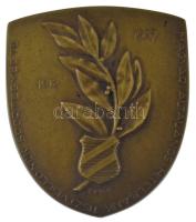 Zombori Kiss István (1902-1953) 1937. "Magyar Általános Hitelbank Tisztviselőinek Sportegylete 1912-1937 / Evezés I." bronz díjérem "LUDVIG BP" gyártói jelzéssel (50x44mm) T:XF
