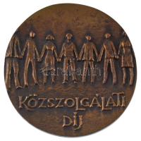 DN "Szarvas Város / Közszolgálati díj" bronz emlékérem (72mm) T:2