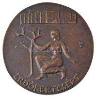 Szabó Gábor (1940-) DN Erdőkertesért bronz emlékérem hátlapon VIZVÁRI JÁNOSNAK jó munkáért gravírozással (98mm) T:XF
