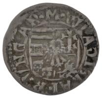 1498-1503. Denár Ag "II. Ulászló" (0,51g) T:AU,XF
Hungary 1498-1503. Denar Ag "Wladi...