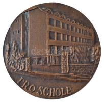 Borsi Antal (1942-2018) DN "Trefort Ágoston 1817-1888 / Pro Schole" bronz emlékérem (98mm)...