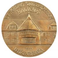 1993. "Evangélikus Szeretetotthon Emmaus - 1993 Nyíregyháza" Br emlékérem, peremen "0...