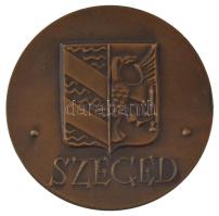 DN Szeged bronz emlékérem (60mm) T:AU