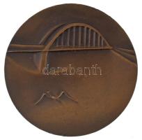 DN "Szeged" bronz emlékérem (60mm) T:AU