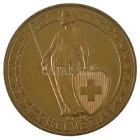 Svájc DN "Helvetia / Svájci tavak - Zürichsee" aranyozott fém emlékérem (40mm) T:AU (PP)
...