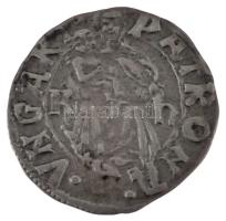 1498-1503. Denár Ag "II. Ulászló" téves "Wadislai" felirattal (0,60g) T:AU
Hung...