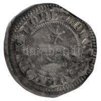 1260-1269. Szlavón Denár Ag "Béla herceg és Németújvári Henrik" (0,69g) T:VF.
Hungary 126...