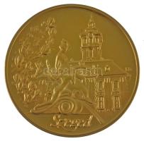 Fritz Mihály (1947-) DN "Szeged" aranyozott fém emlékérem eredeti tokban (60mm) T:AU (PP)