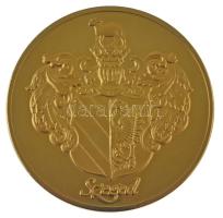Fritz Mihály (1947-) DN "Szeged" aranyozott fém emlékérem eredeti tokban (60mm) T:AU (PP)