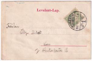 1902 Komárom, Komárnó; Fő tér, Nádor és Megye utca, Stettler és Mészáros András üzlete, piac. Czike ...