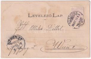 1898 (Vorläufer) Komárom, Komárnó; Nádor utca eleje, Szentháromság szobor, Sétatér / street, Trinity...