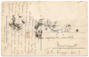 1908 Visegrad, Israelitischer Tempel. Verl. Josef Schreiber / synagogue (Rb)