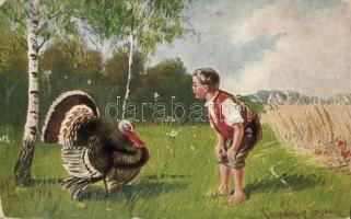 Turkey s:Donadini jr.