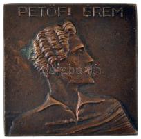 Törzsök Károly (1906-1964) 1946. "Petőfi Érem / A sportoló nemzetét szolgálja" bronz díjplakett (40x40mm) T:AU