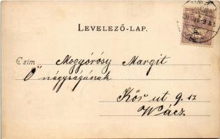 1900 Göd, Nyaralótelep és telkek, Biciklista nagy vendéglő. Kiadó a Sződrákosi és gödi tégla- és cem...