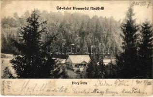 1905 Homoródfürdő, Homoród-fürdő, Baile Homorod; Hory villa (EK)