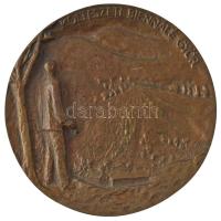 DN "Radnóti Miklós / Költészeti Biennálé Győr" nagyméretű bronz emlékplakett (100mm) T:AU