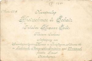 Mostar, Römerbrücke, Hotel Narenta. Gruss aus der Hercegovina. Art Nouveau, floral, litho (non PC) (...