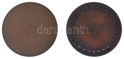 ~1970-1980. "Alkotó Ifjúság Pályázat - FMKT-FAT" bronz emlékplakett (70mm) + "Magasab...