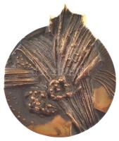 1980. Nitrokémiai Ipartelepek - MN HÁVP szignózott bronz plakett tokban (115-98mm) T:AU