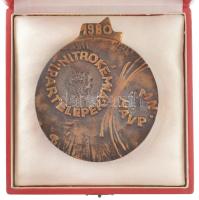 1980. "Nitrokémiai Ipartelepek - MN HÁVP" szignózott bronz plakett tokban (115-98mm) T:AU