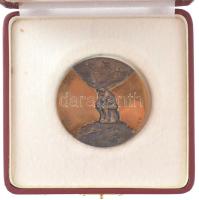 Csíkszentmihályi Róbert (1940-2021) 1973. "Eötvös Loránd-díj" bronz díjérem, eredeti tokba...