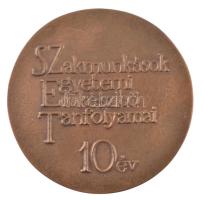 Asszonyi Tamás (1942-) ~1980. "Szakmunkások Egyetemi Előkészítő Tanfolyamai 10 év" bronz e...